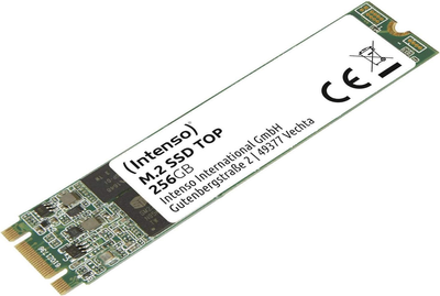 SSD накопитель Intenso TOP 256 GB (3832440)