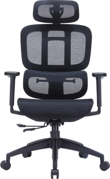 Кресло офисное OfficePro OC680B Black 