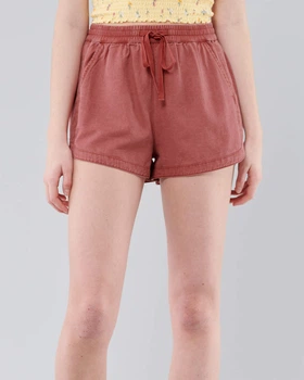 Шорты Hollister HC8244W XS Терракотовый