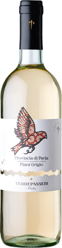 Вино Terre Passeri Pinot Grigio di Pavia IGT біле сухе 0.75 л 11.5% (8000013023609)