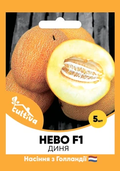 Голландське насіння Hazera Диня Нево F1, 5 шт