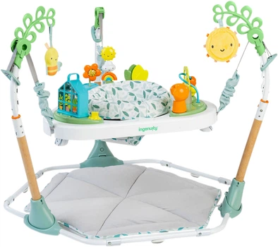 Ігровий розвиваючий центр Ingenuity Tummy to Toes 6 в 1 (16904) (074451169043)