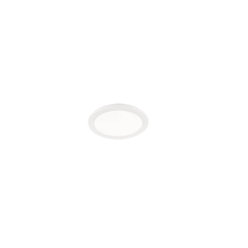 Светильник потолочный CAMILLUS R62921501 Trio белый
