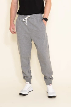 Брюки мужские The North Face Heritage Patch Joggers M Серый NF0A7WXI-I0D