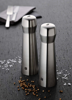 Млинок для солі Zwilling Spices сріблястий 19 см (4009839293085)