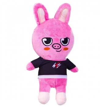 SWORKZ オフロードバギー ピンクの猫 489417828.jpg