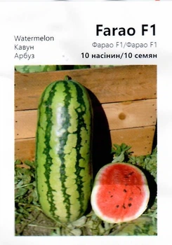 Семена Арбуз Фарао F1 10сем Syngenta