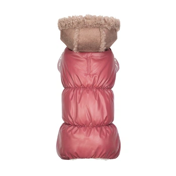 Одежда Pet Fashion Cherry Комбинезон для собак-девочек S2 (1111180541)