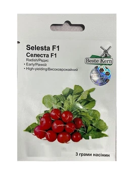 Насіння Редис Селеста F1 3г, Beste Kern