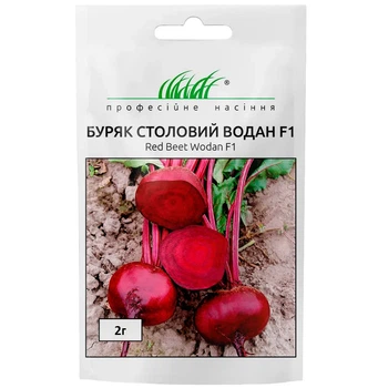 Буряк столовий Вода F1 / 2 г