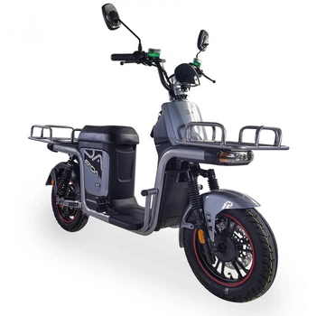 Електроскутер Вантажний з двома великими багажниками FADA FLIT II (600W, 72V,20Ah) Сірий