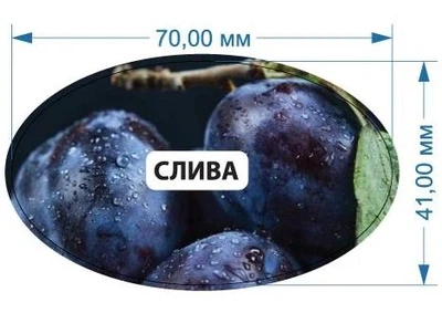Стикер "Слива" 70 мм х 41 мм 20 шт
