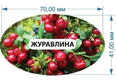Стикер "Клюква" 70 мм х 41 мм 20 шт