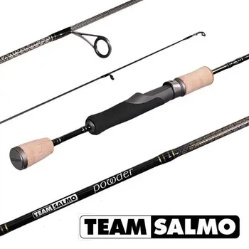 Вудилище спінінгове Team Salmo POWDER 2-8/1.98(6'5") (51601) TSPO2-652M