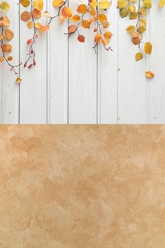 Виниловый фотофон 140x210см, Frontlit 450 г/м2, стена + пол №57249