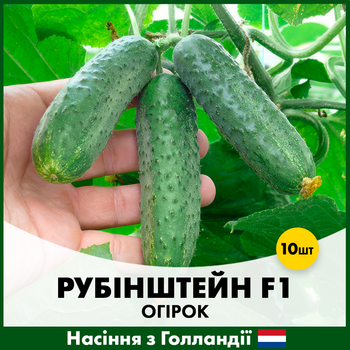 Огурец Rijk Zwaan Рубинштейн F1, 10 шт