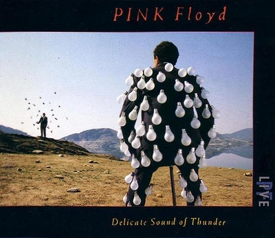 Вінілова платівка Pink Floyd - Delicate Sound of Thunder - VG - 2 штуки (2 платівки в комплекті) пінк флойд бв - Б/У