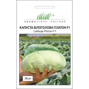 Насіння Капуста Платон F1, 20 шт (NongWoo Bio)