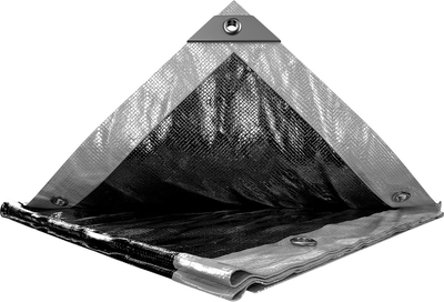 Тент Mastertool 4 х 5 м двусторонний 200г/м2 Silver-Black (89-5405)