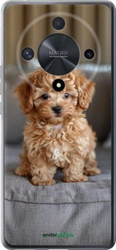 Чехол на Huawei Magic6 Lite Mini-maltipoo "6158u-3685-70447"