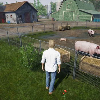 Gra Nintendo Switch My Life: Farm Vet (Kartridż) (8720618957733)