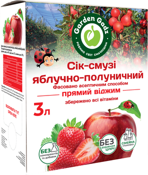 Сок-смузи Garden Gadz Яблочно-клубничный с мякотью 3 л (4820240850472)