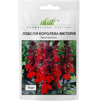 Лобелия Королева Виктория / 10 шт