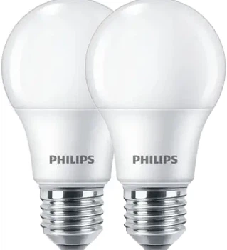 Светодиодная лампа Philips Ecohome LED Bulb 9W E27 6500К 2шт (929002299117R)