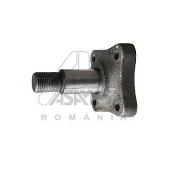 Маточина колеса (цапфа) задн Renault Logan I, II, Clio IV, Duster, Kangoo II, Lodgy (30319) Asam ASAM (30319)