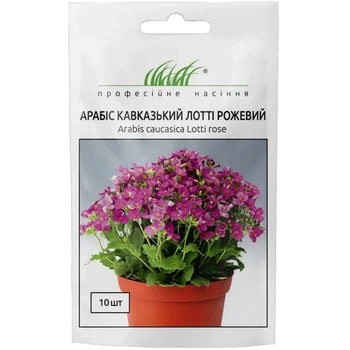Арабис кавказский Лотти розовый / 10 шт