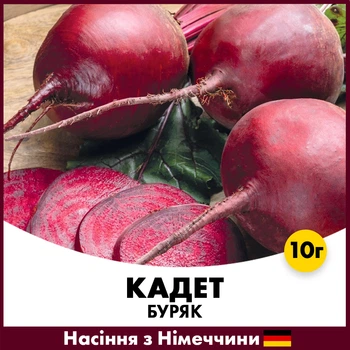 Столовая свекла Satimex Кадет, 10 гр