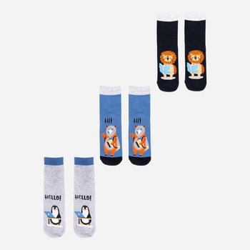 Набір шкарпеток дитячий YOCLUB 3Pack Socks SKA-0038C-AA00 35-38 3 пари Multicolour (5904921600026)