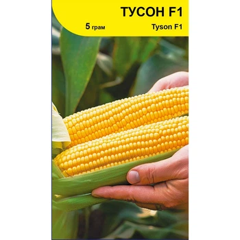 Семена кукурузы Тусон F1, Syngenta, 5 г.