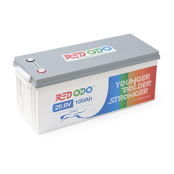 Аккумуляторная батарея Redodo 24V 100Ah 2,56kWh LiFePO4 (100/100A)(532*207*215)