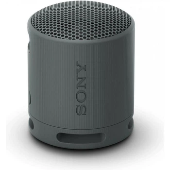 Портативная акустика Sony SRS-XB100 Black (SRSXB100B)