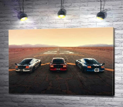 Картина Гоночні автомобілі Ford Mustang Shelby GT500 на старій дорозі 60x40 см Модуль №1 (000956)