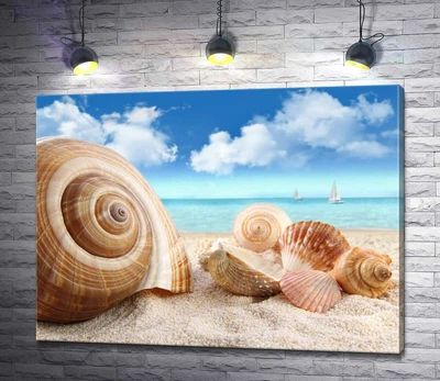 Картина Морские ракушки на золотистом песке 60x45 см Модуль №1 (000006)