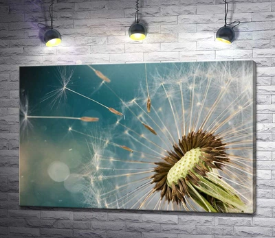 Картина Легкі парашутики кульбаби 60x40 см Модуль №1 (004495)