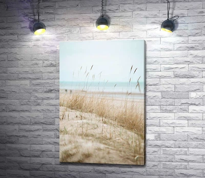 Картина Колоски трави на узбережжі моря 40x60 см Модуль №1 (005183)