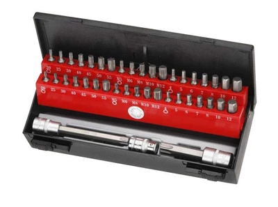 Набор бит 6-гр., Torx, Spline 3/8" и 1/2" 44 пр. (головка-бита T55, T70) Force 4442C F