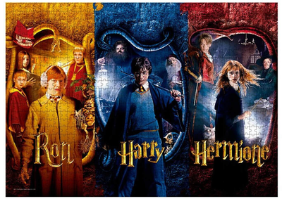 Puzzle Sd Toys Harry Potter Ron Harry Hermione 70 x 50 cm 1000 elementów (8435450232398)