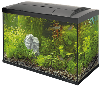 Акваріумний стартовий набір SuperFish Start 70 Aquarium Kit Black (A4050285)