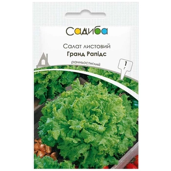 Семена Салата Suba Seeds Гранд Рапидс, 1 г, Садиба