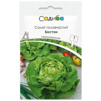 Семена Салата Suba Seeds Бостон,1 г, Садиба