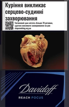 Блок сигарет Davidoff Reach Focus Black х 10 пачек (4820000366496)