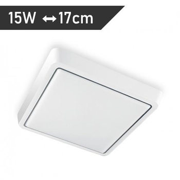Світильник світлодіодний настінно-стельовий LUMINARIA DLS 15W S170 5500K WHITE 220V IP44 (накладний)