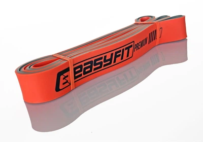 Резинка для подтягиваний Easyfit Premium 25-45 кг (EF-2236-4)