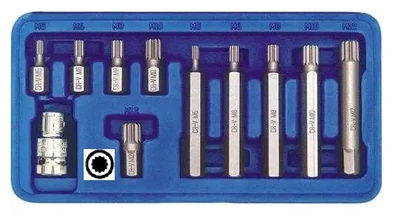 Набор насадки биты VOREL SPLINE специальные 1/2" 11шт звездочка 66770