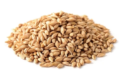 Солод пшеничный Bestmalz Wheat 25 кг