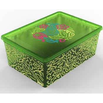 Коробка для хранения QUTU Light Box Flouresent Green (25л)